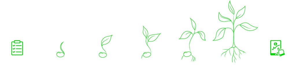 Visual representation of the cycle of the evolution process of the results achieved during the harvest, illustrating the steps from the beginning to the final result.